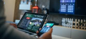 Descubre el Mundo de las Apuestas con Databet 17