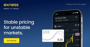 Comprehensive Guide to Exness Trading Platform
