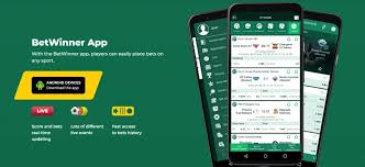 Experience Excitement and Fun at BetWinner Online Casino