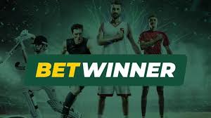 استعراض شامل لموقع Betwinner كل ما تحتاج لمعرفته!