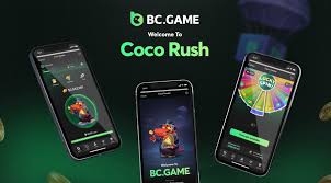 Exploring the BC.Game Platform A New Era in Online Gaming
