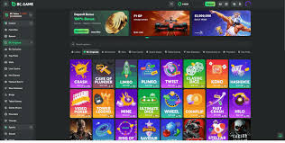 Exploring the World of BC.Game Crypto Casino A Gamers' Paradise